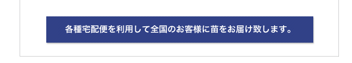 各種宅配便を利用して全国のお客様に苗をお届けいたします