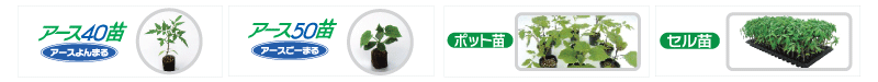 山口園芸取扱商品一覧