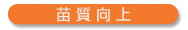 苗質向上