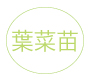 葉菜苗