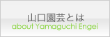 山口園芸とは