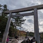 PXL_20251119_000003155.MP